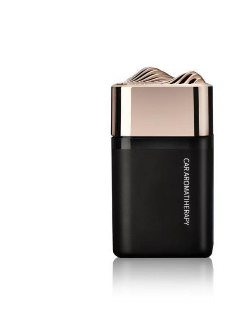 lc-1099 square mountain solidCar Diffuser